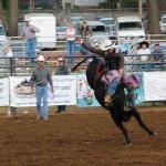 Bull Riding (2011 Fair)