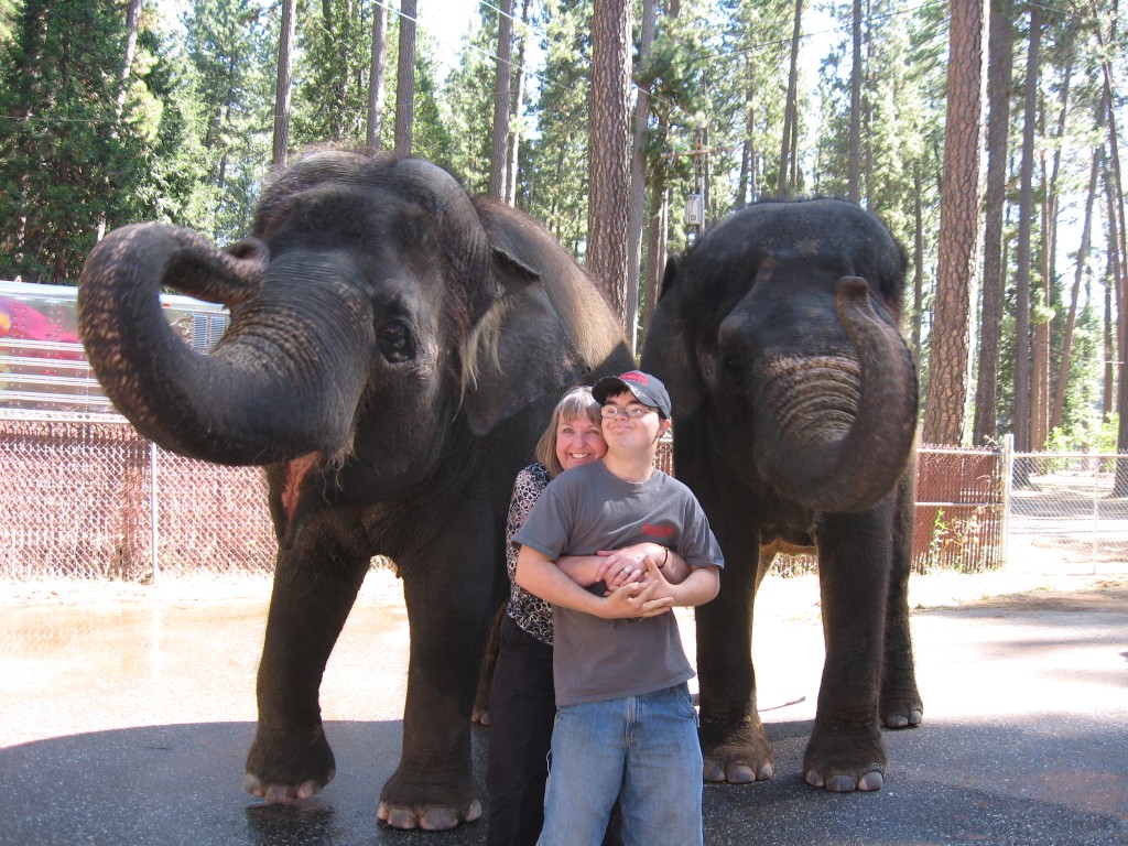 Elephants at the Fair (Mom and Son)