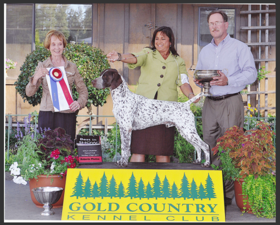 Gold Country Kennel Club Dog Show