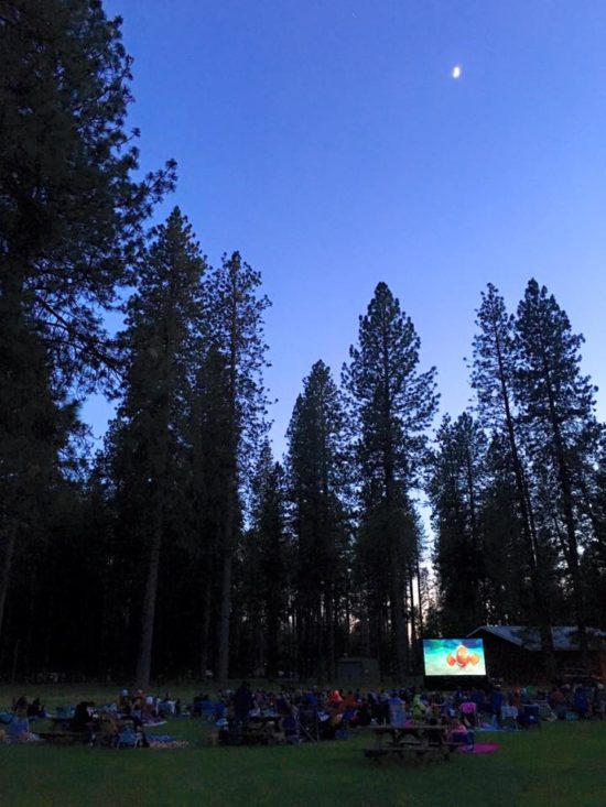 Movies Under the Pines (Photo by Jesse Locks)