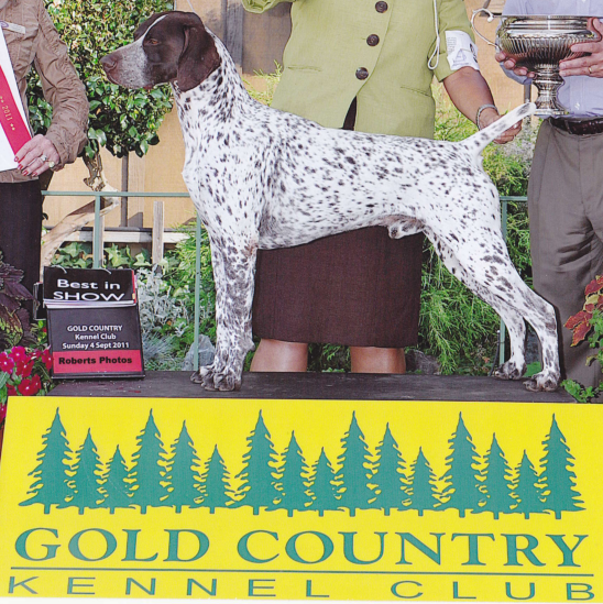This Weekend: Gold Country Kennel Club Dog Show - Nevada County Fairgrounds - Grass Valley, CA